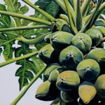 Tropical fruit painting