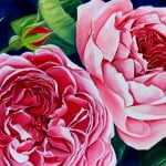 Roses Oil painting Flowers