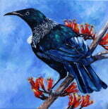 New Zealand Native Tui Painting